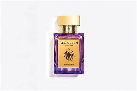 Regalien Meftun