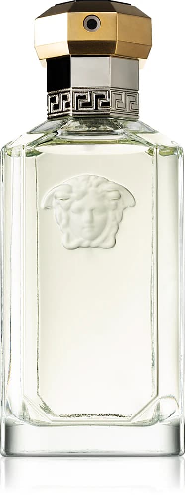 Versace Dreamer